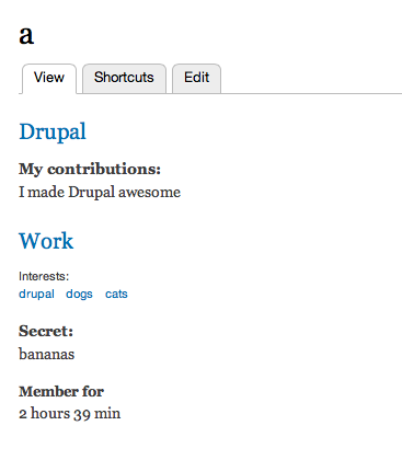 User profile showing a 'Drupal' and 'Work' heading and values.